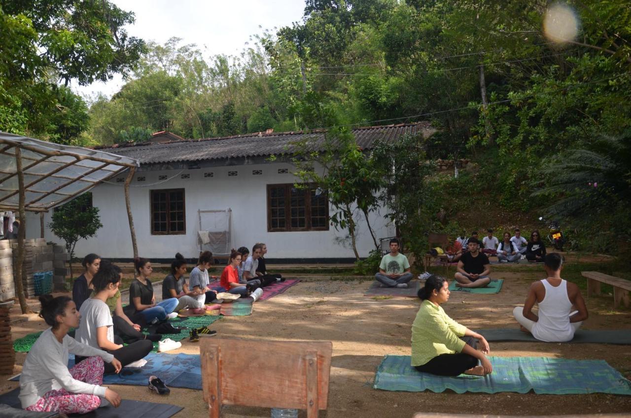 Spiritual Nature Farm - Sri Lanka Matale Exterior foto