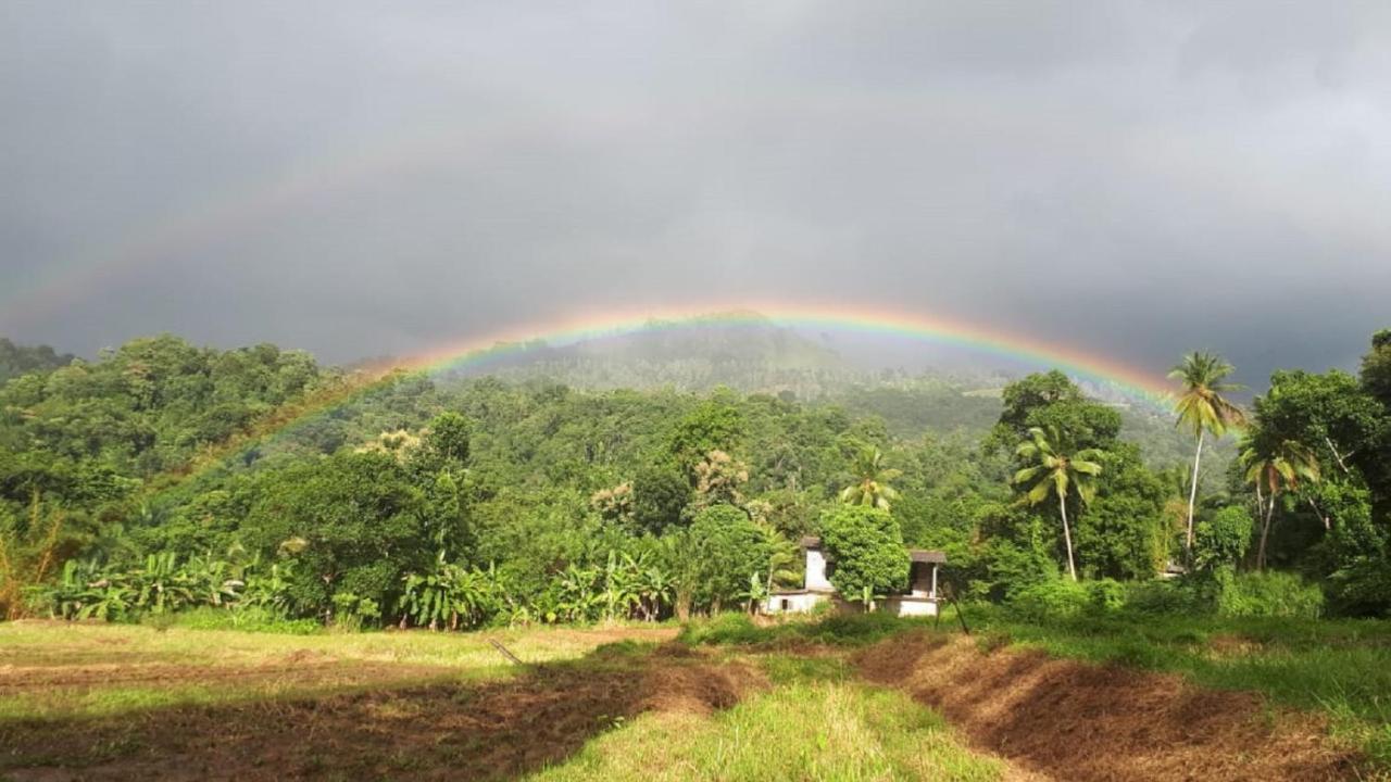 Spiritual Nature Farm - Sri Lanka Matale Exterior foto